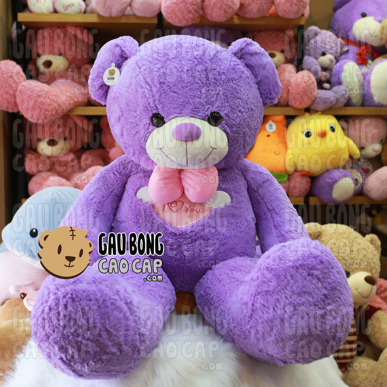 Gấu Teddy Angel Tím