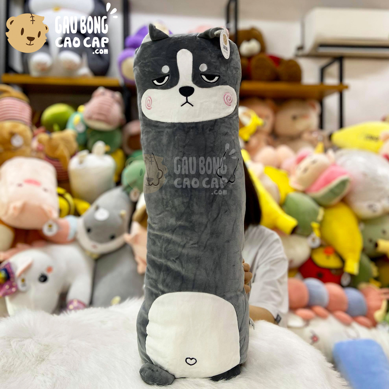 Chó Bông husky gối ôm dài lông mịn